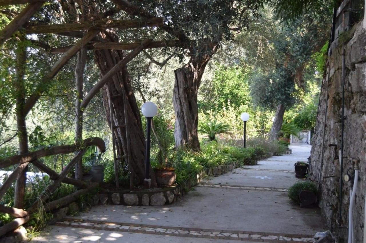 La Palombara Bed & Breakfast