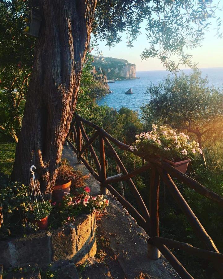 La Palombara Bed & Breakfast Vico Equense