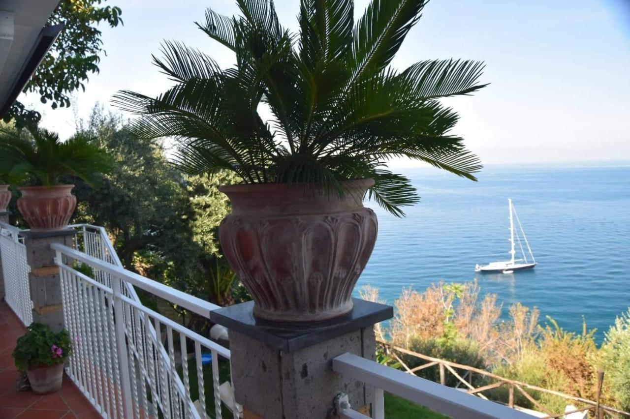 Bed & Breakfast La Palombara *