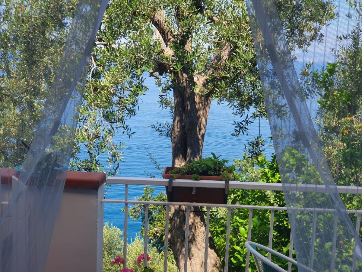 La Palombara Bed & Breakfast *